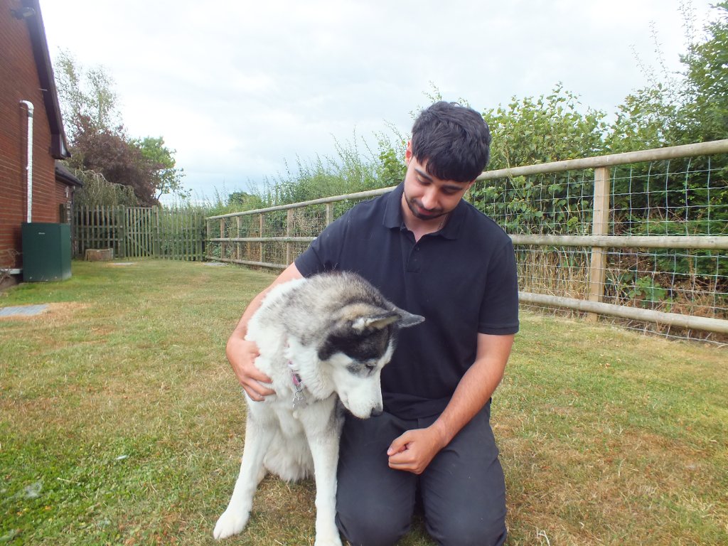 Veterinary physiotherapist with a horse