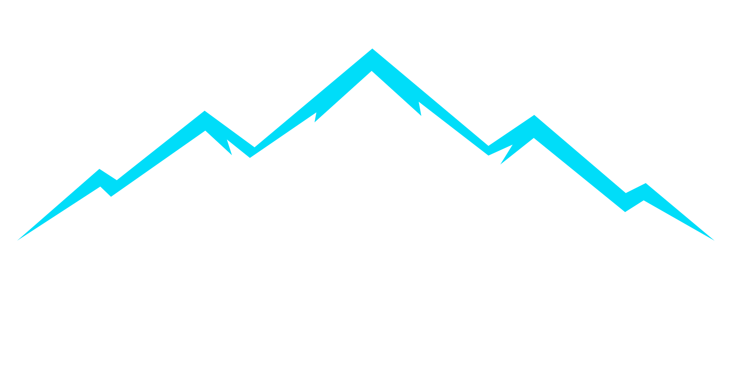 Valet Ski Storage Logo