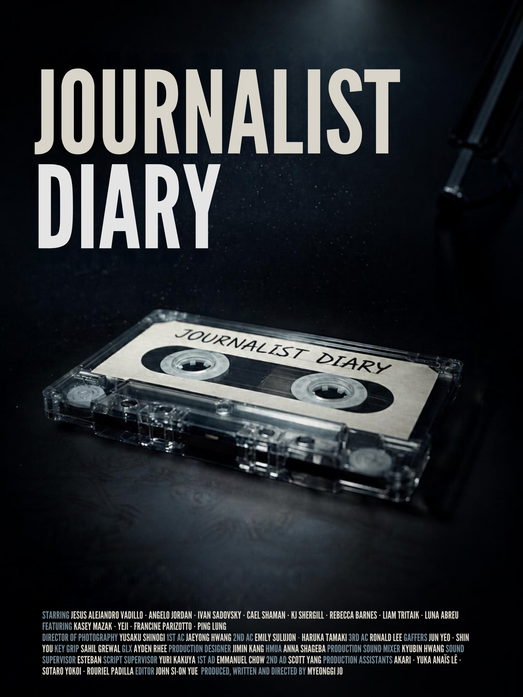Journalist Diary poster