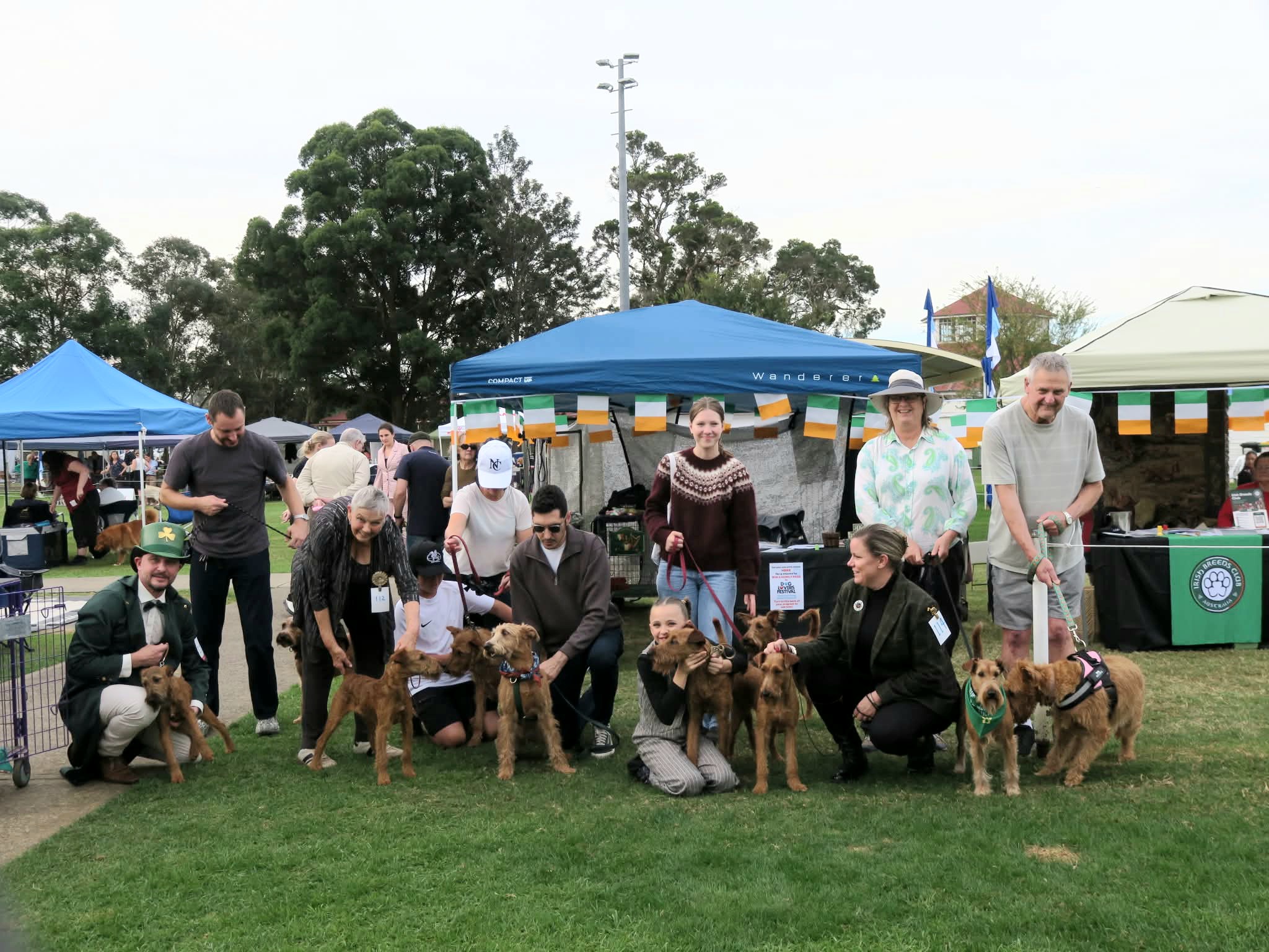 Irish Terrier handlers and dogs gathered at a club show