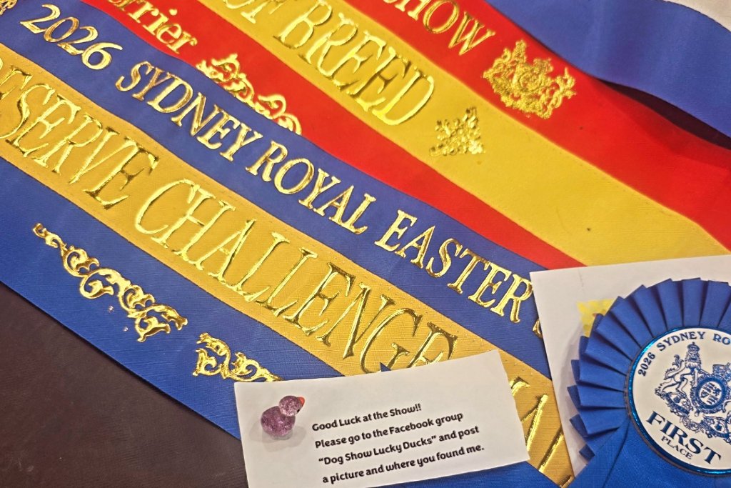 Sydney Royal Easter Show 2026 — Challenge sashes