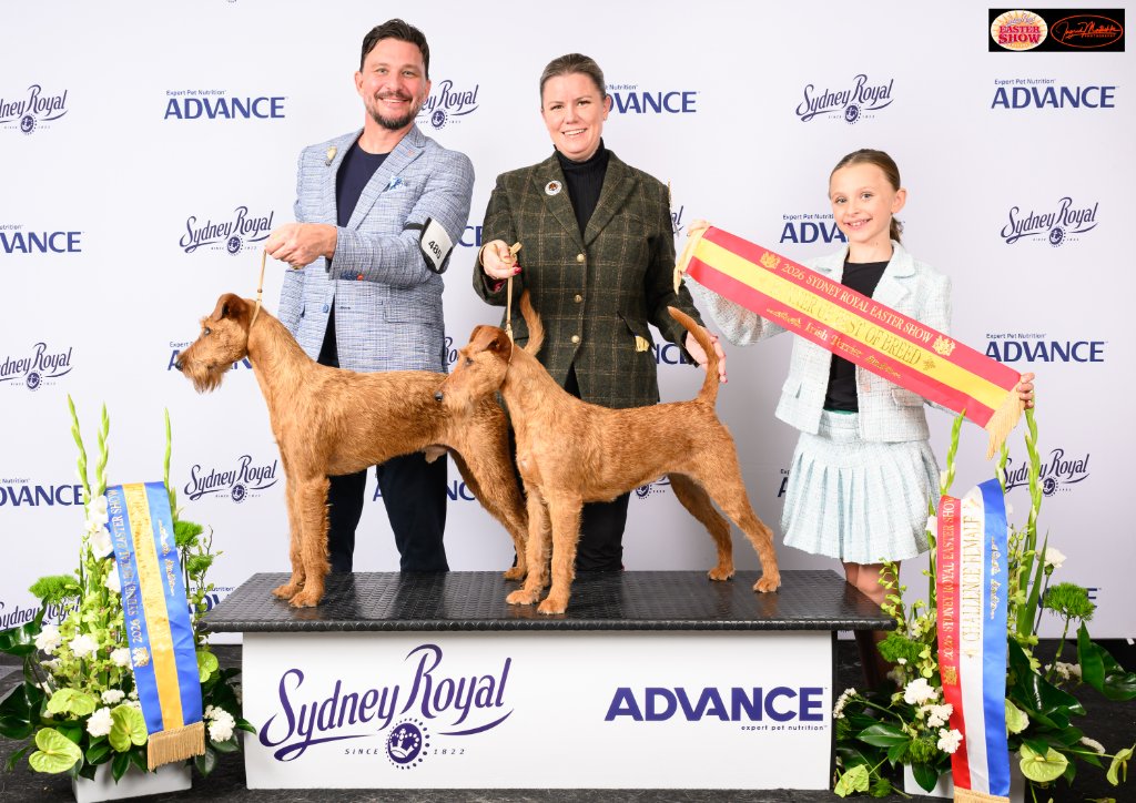 Sydney Royal Easter Show 2026 — Best of Breed