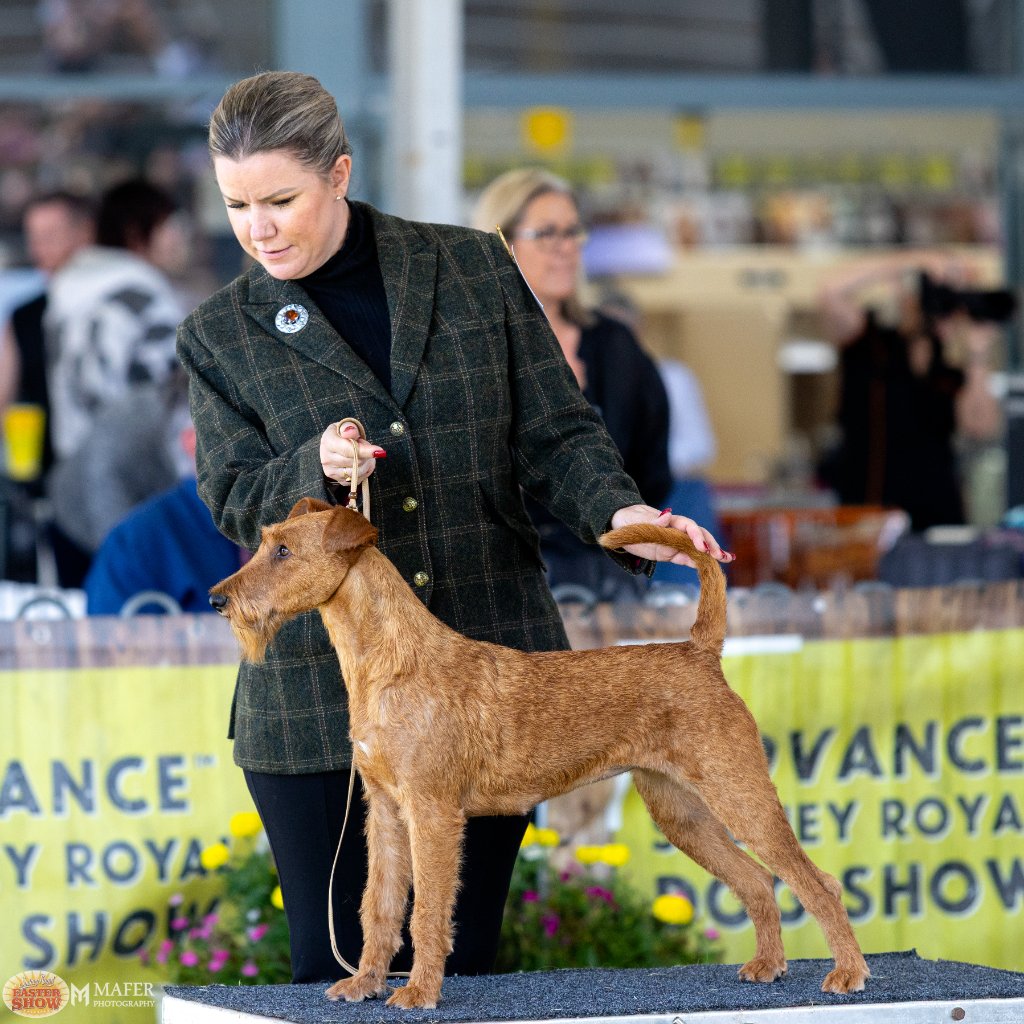 Sydney Royal Easter Show 2026 — show stack