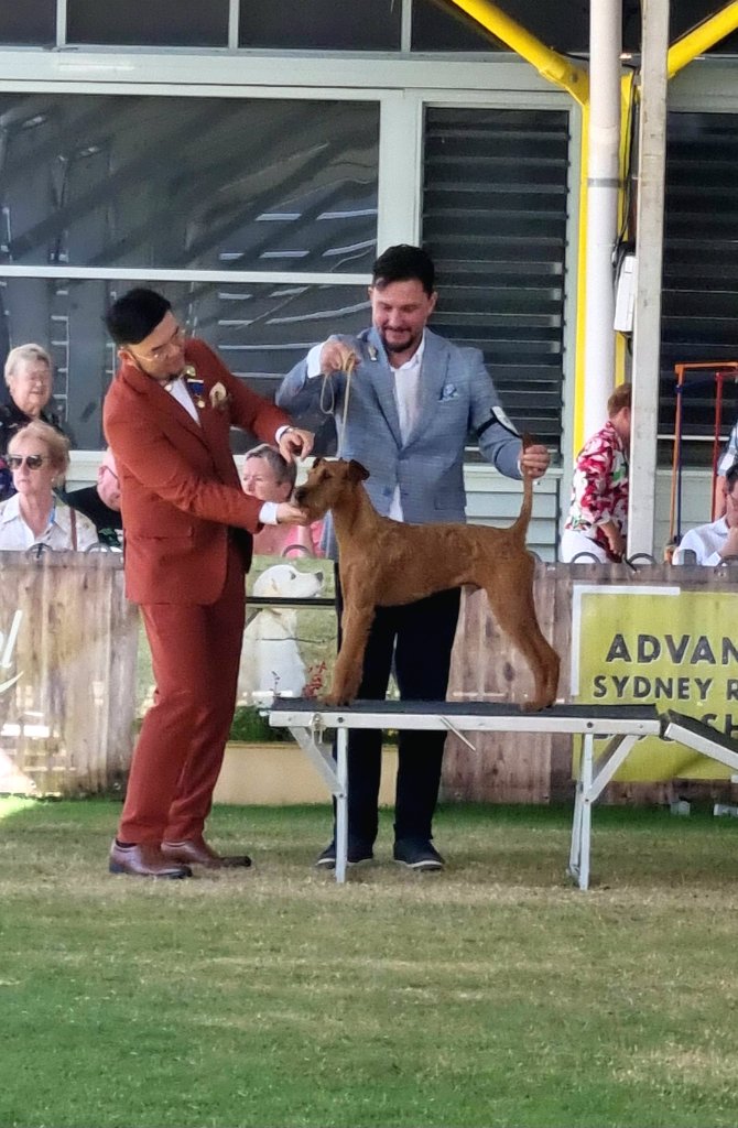 Sydney Royal Easter Show 2026 — on the table