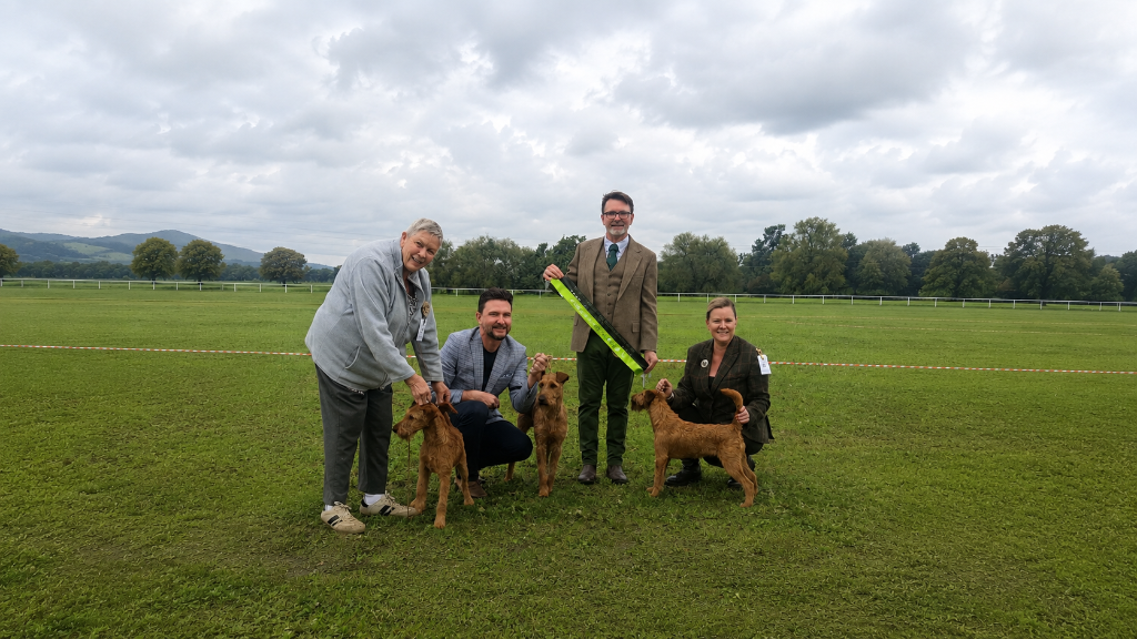 Braecrest Irish Terriers at a championship show
