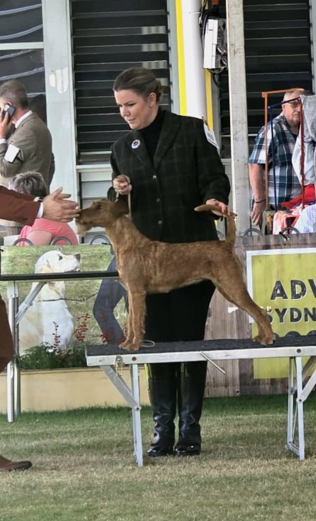 Sydney Royal Easter Show 2026 — on the table