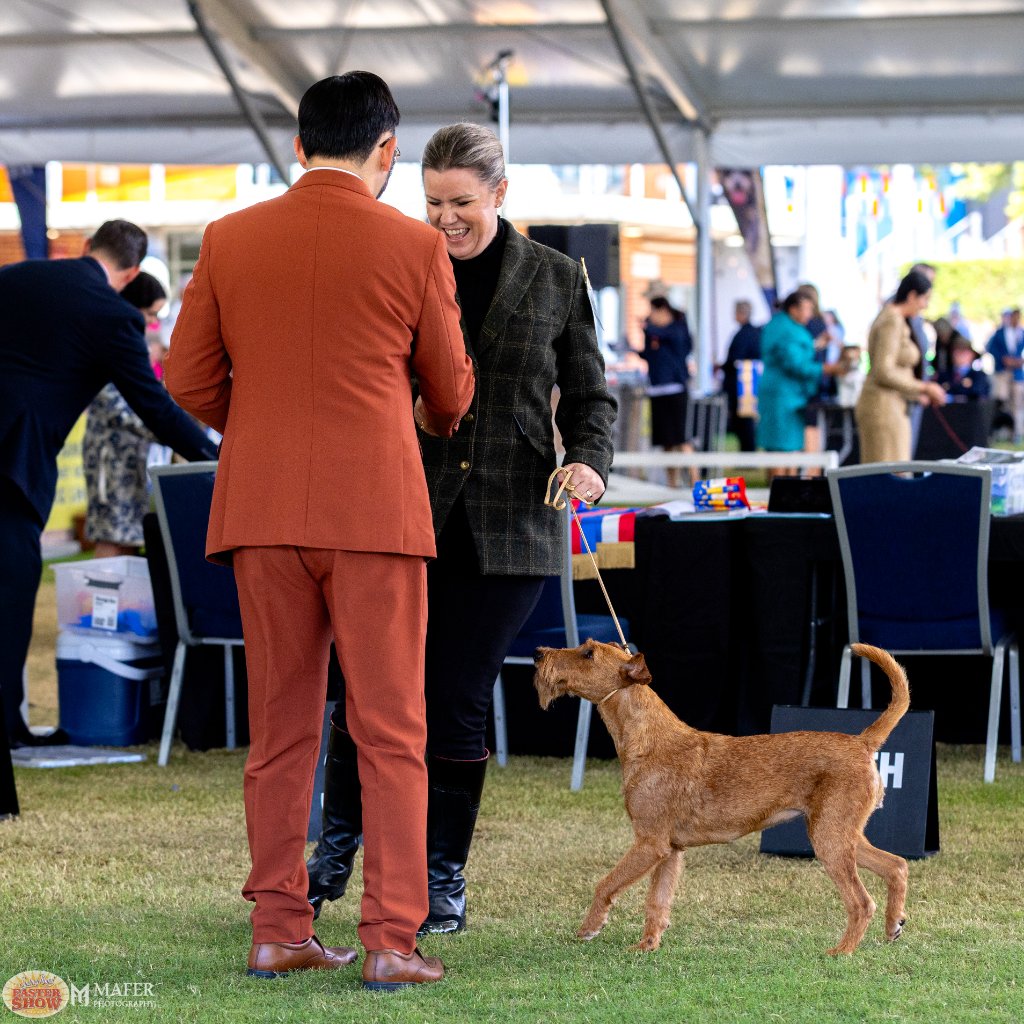 Sydney Royal Easter Show 2026 — ringside moments