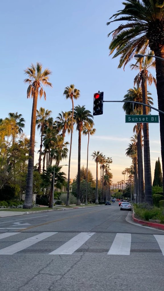 LA Matcha Weekend