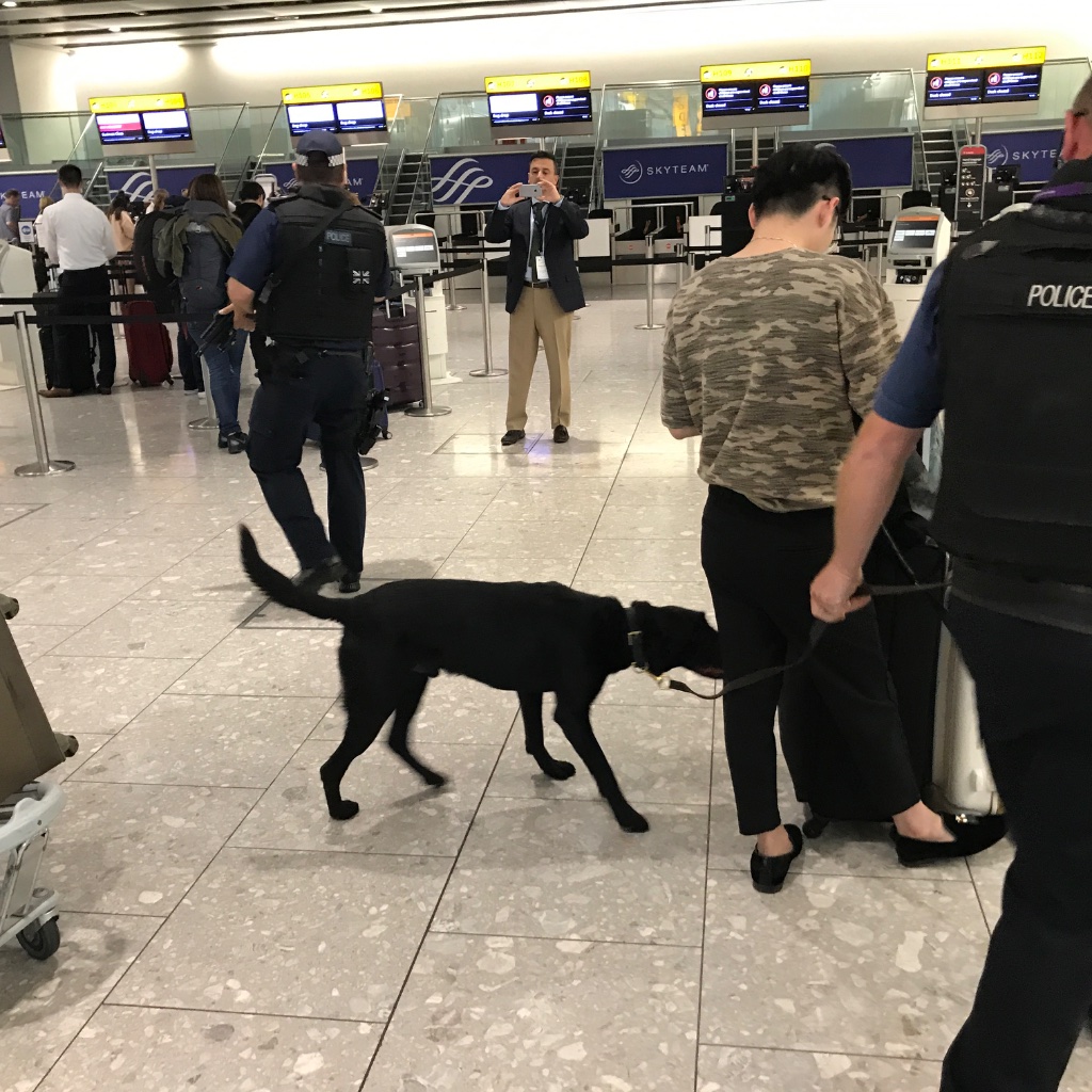 Airport security K9 unit patrol