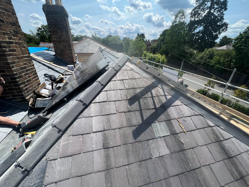 Moss Removal & Roof Inspection
