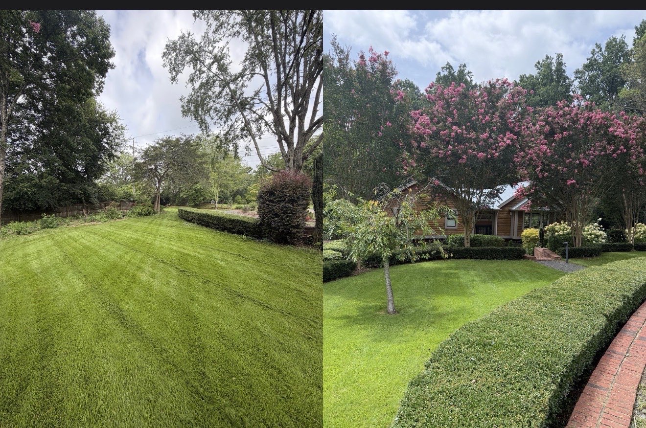 Property Transformation
