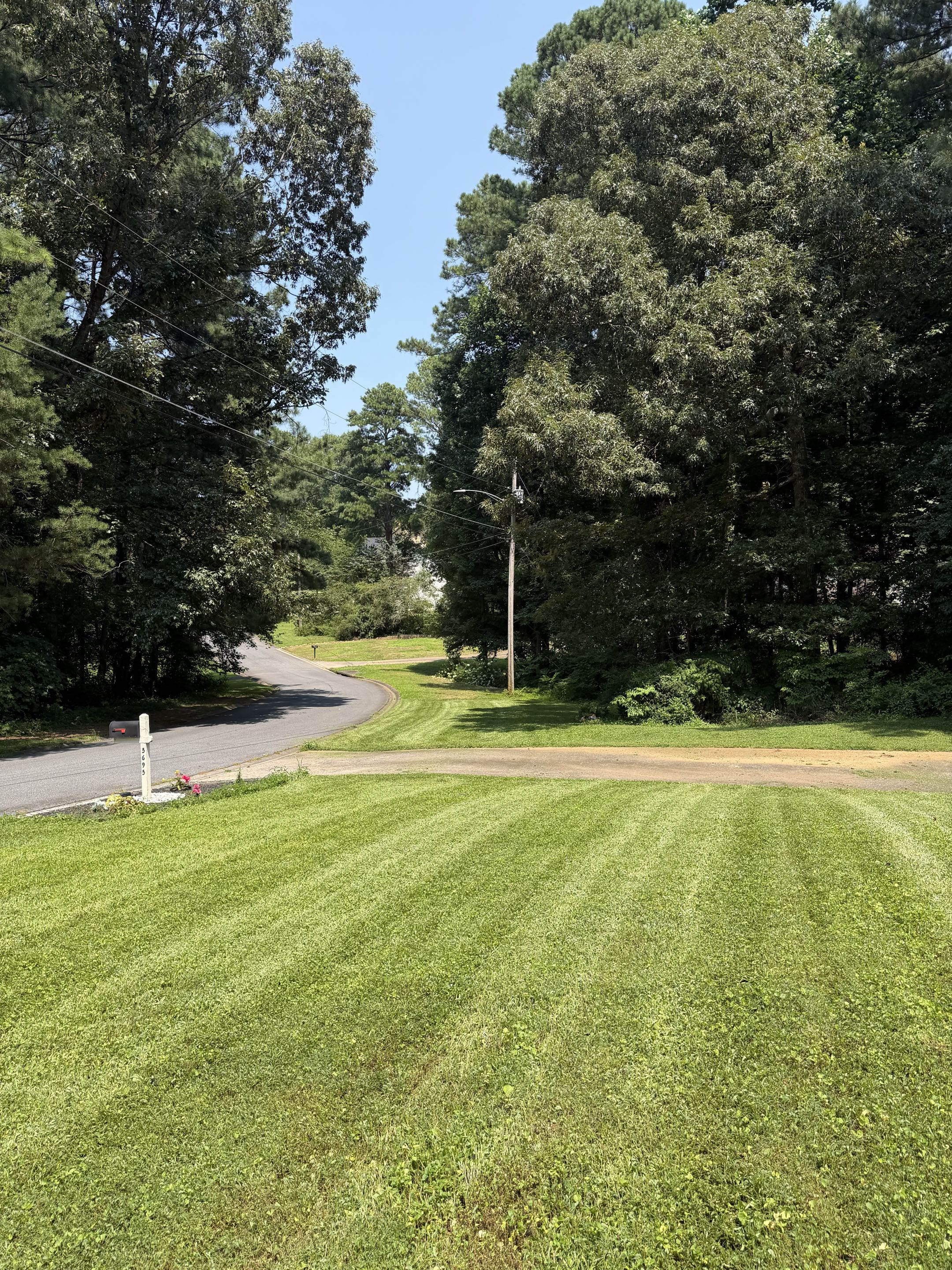Manicured Curb Appeal