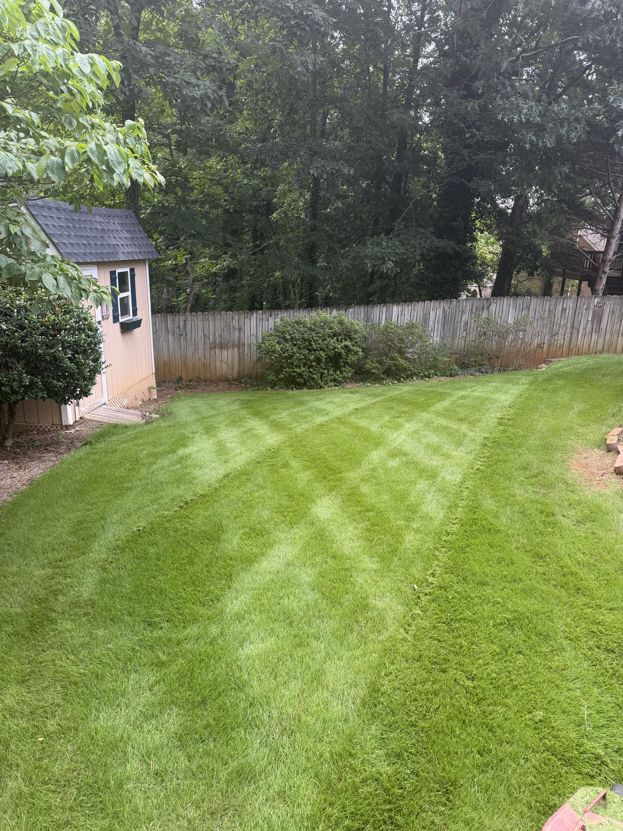Backyard Refresh