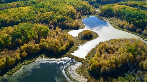 Aerial view of Parkland County waterways and forests