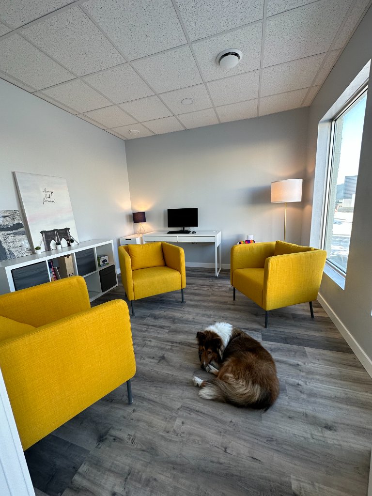 Bright St. Albert psychological assessment and therapy room with yellow chairs and a calm therapy dog.