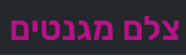 צלם מגנטים