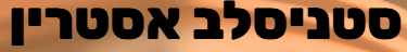 כלכלן מומחה