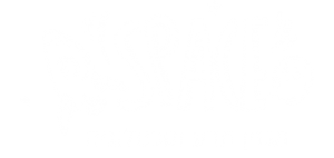 מגזין טכנולוגיה ומדע 