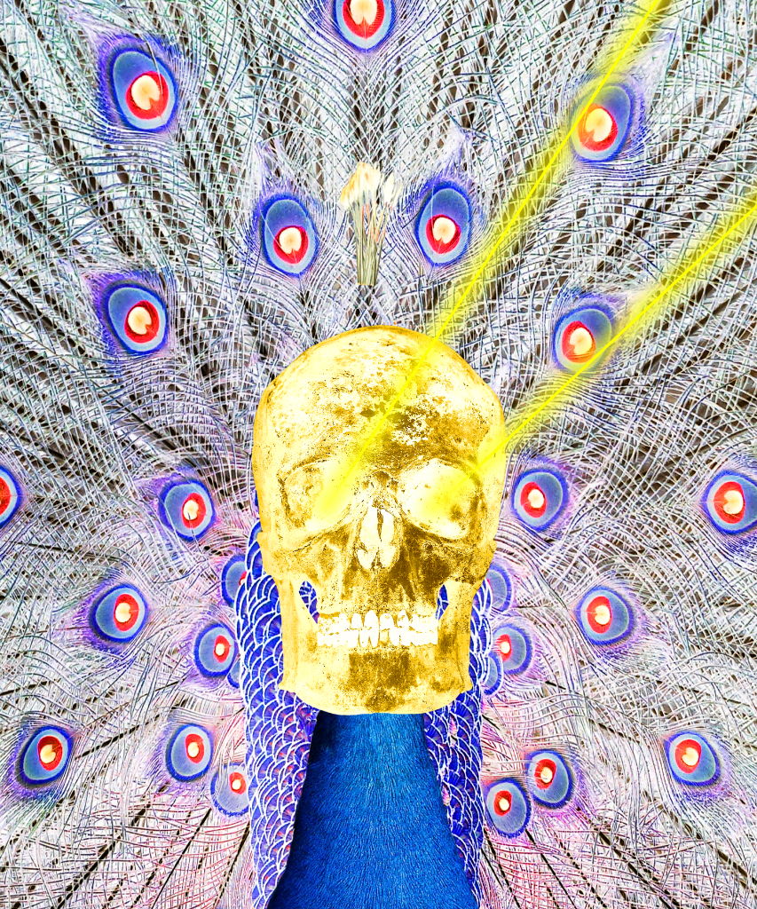 The Emperor 3
