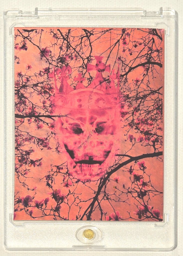 Collector Card 9