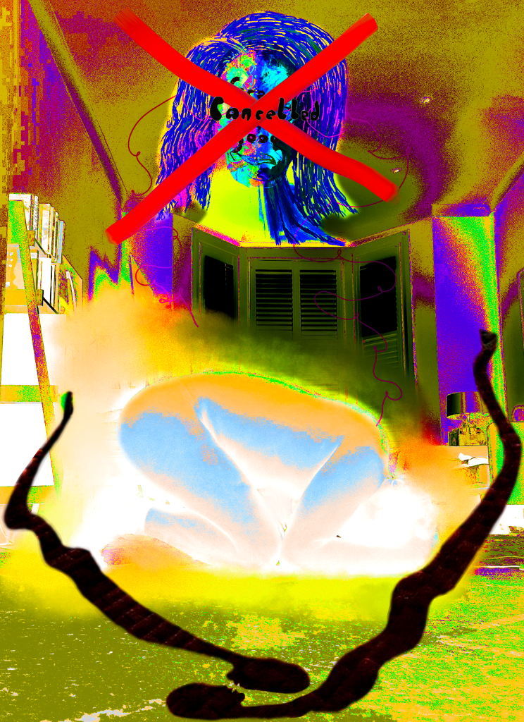 The Gaslighter 14