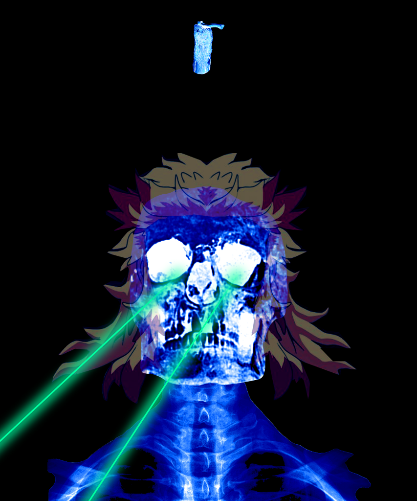 The Visionary