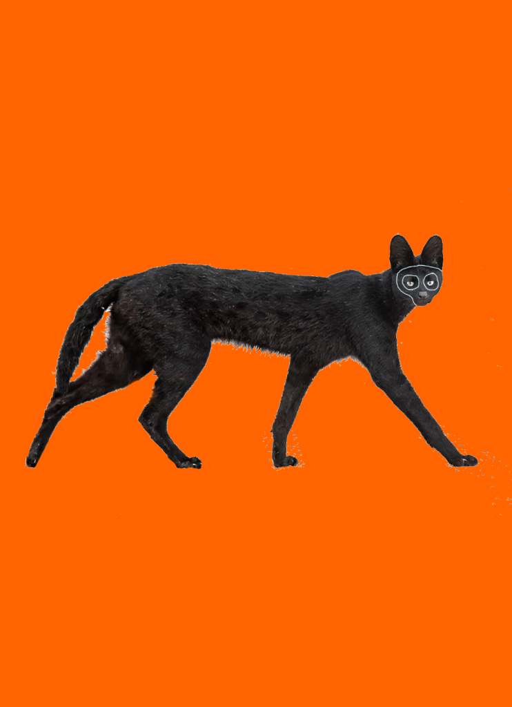 The Familiar