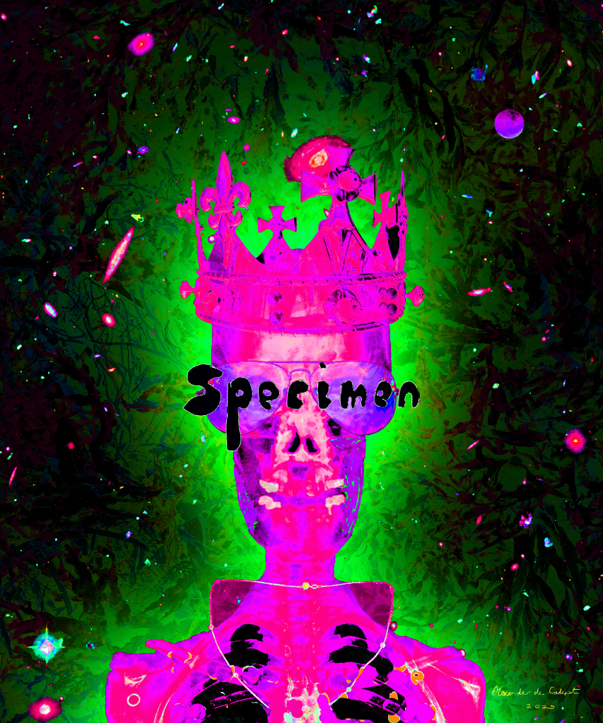 The Prestidigitator 22