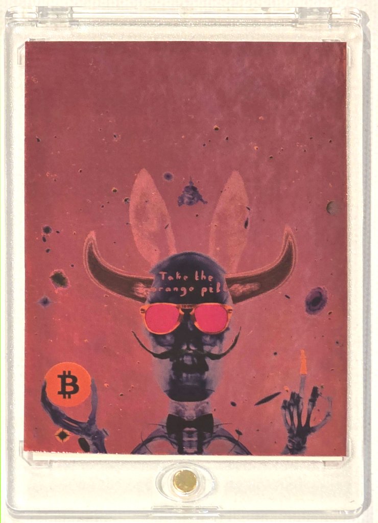 Collector Card 5