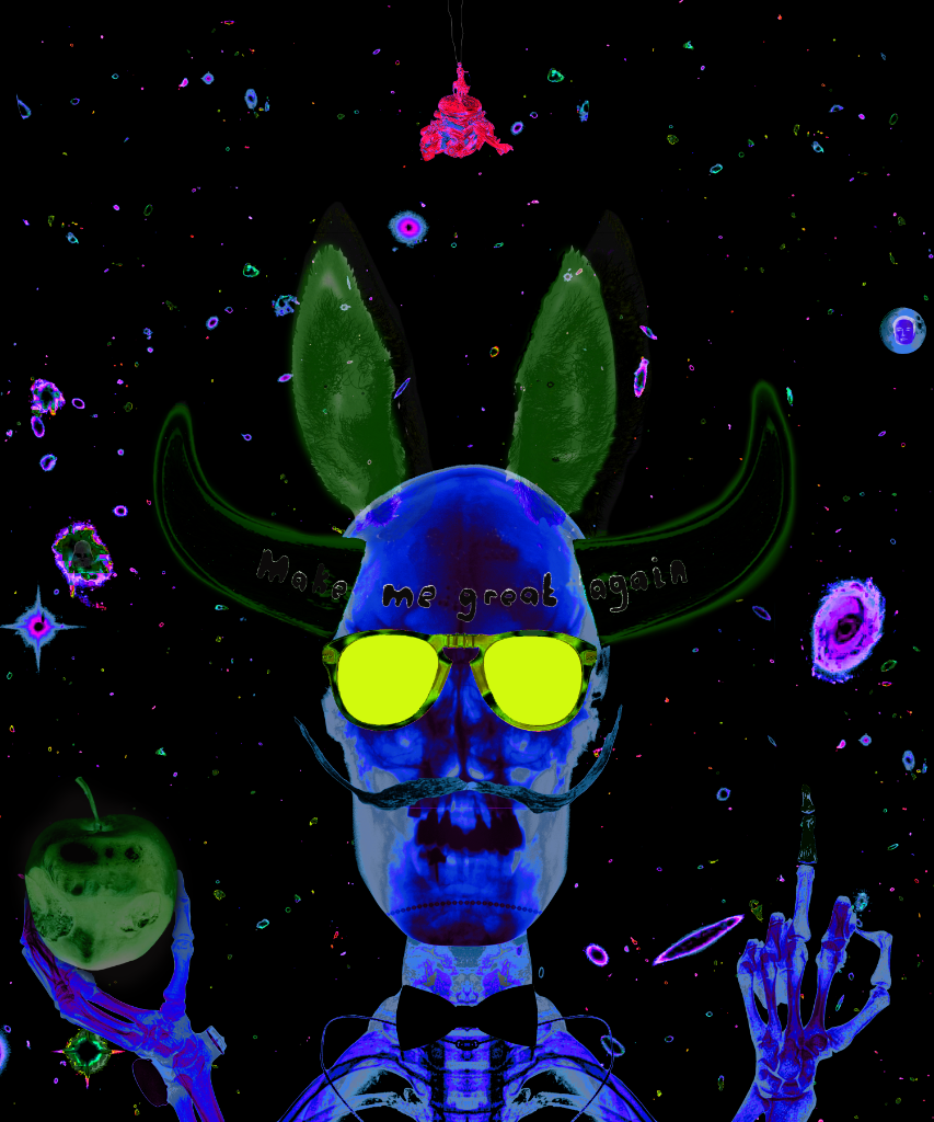 The Trickster 25