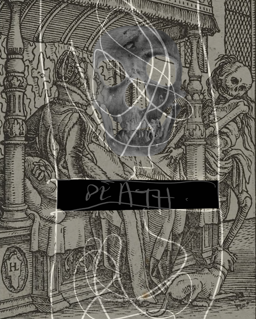The Alpha 5