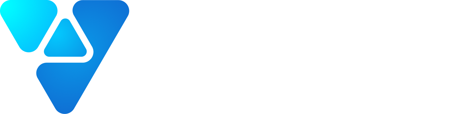 VISION logo