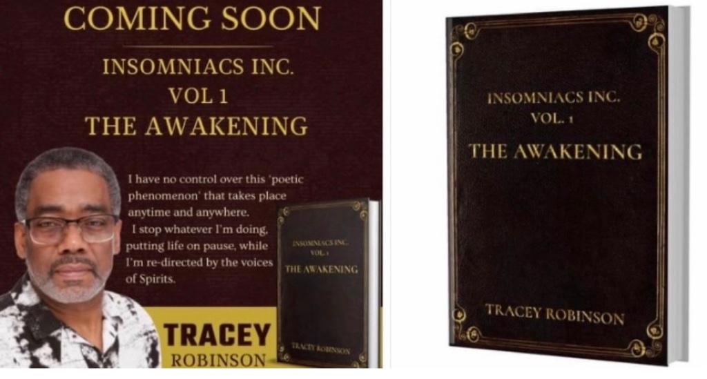 Insomniacs Inc. Vol 1