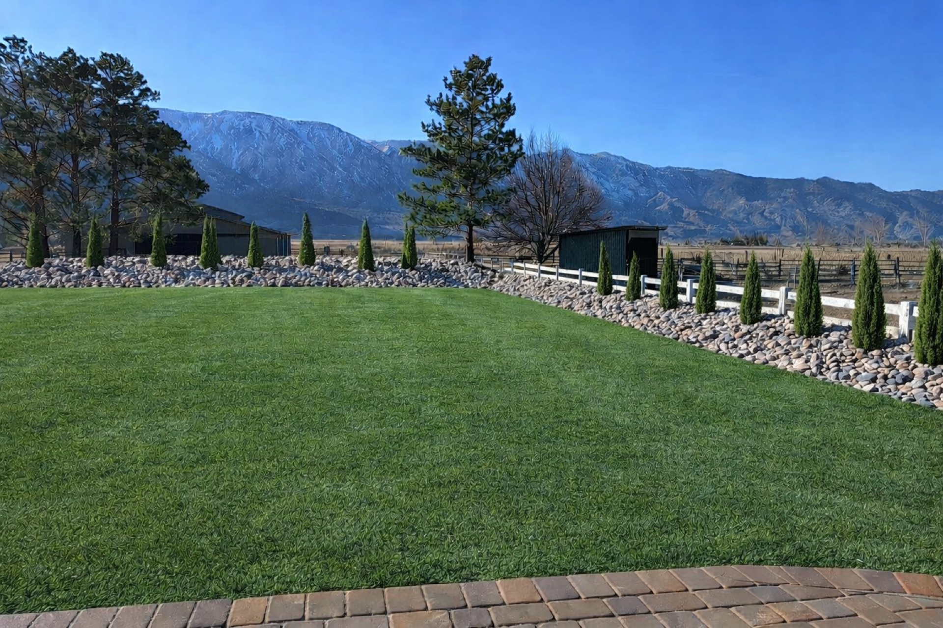 Sod & Lawns