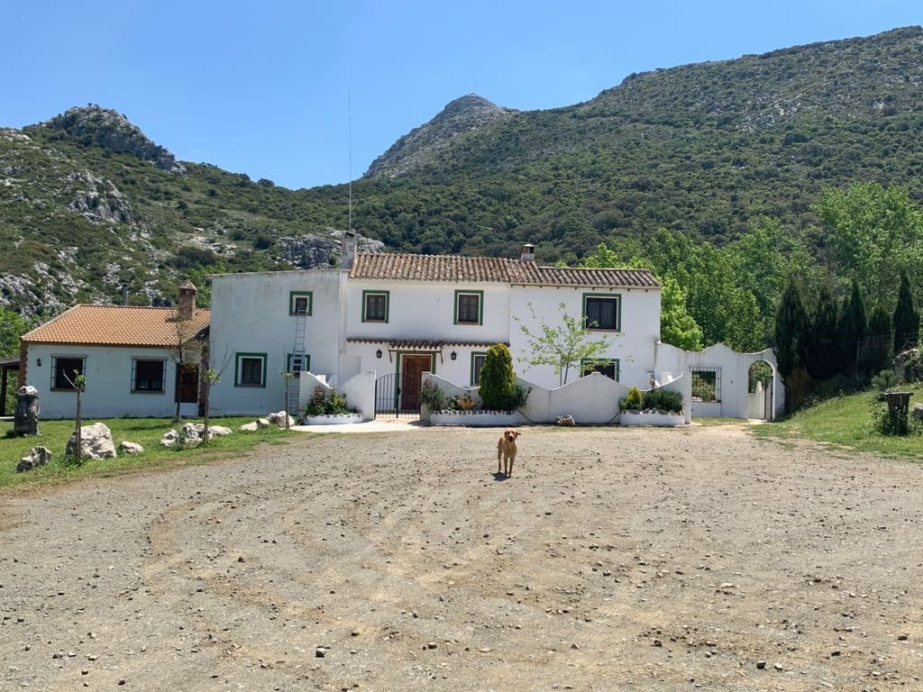 Las Navillas - 1