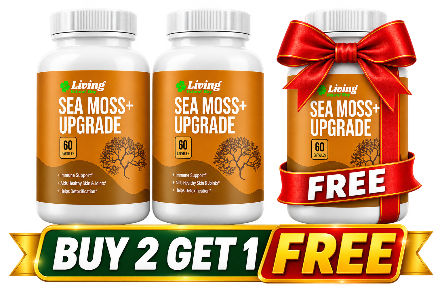 3 Bottles of Sea Moss+