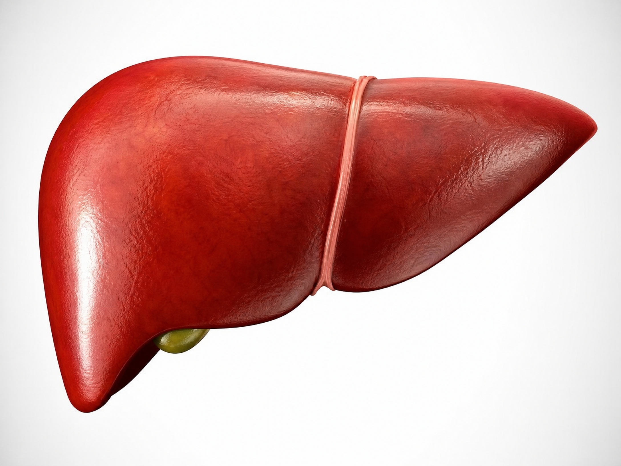 Healthy liver