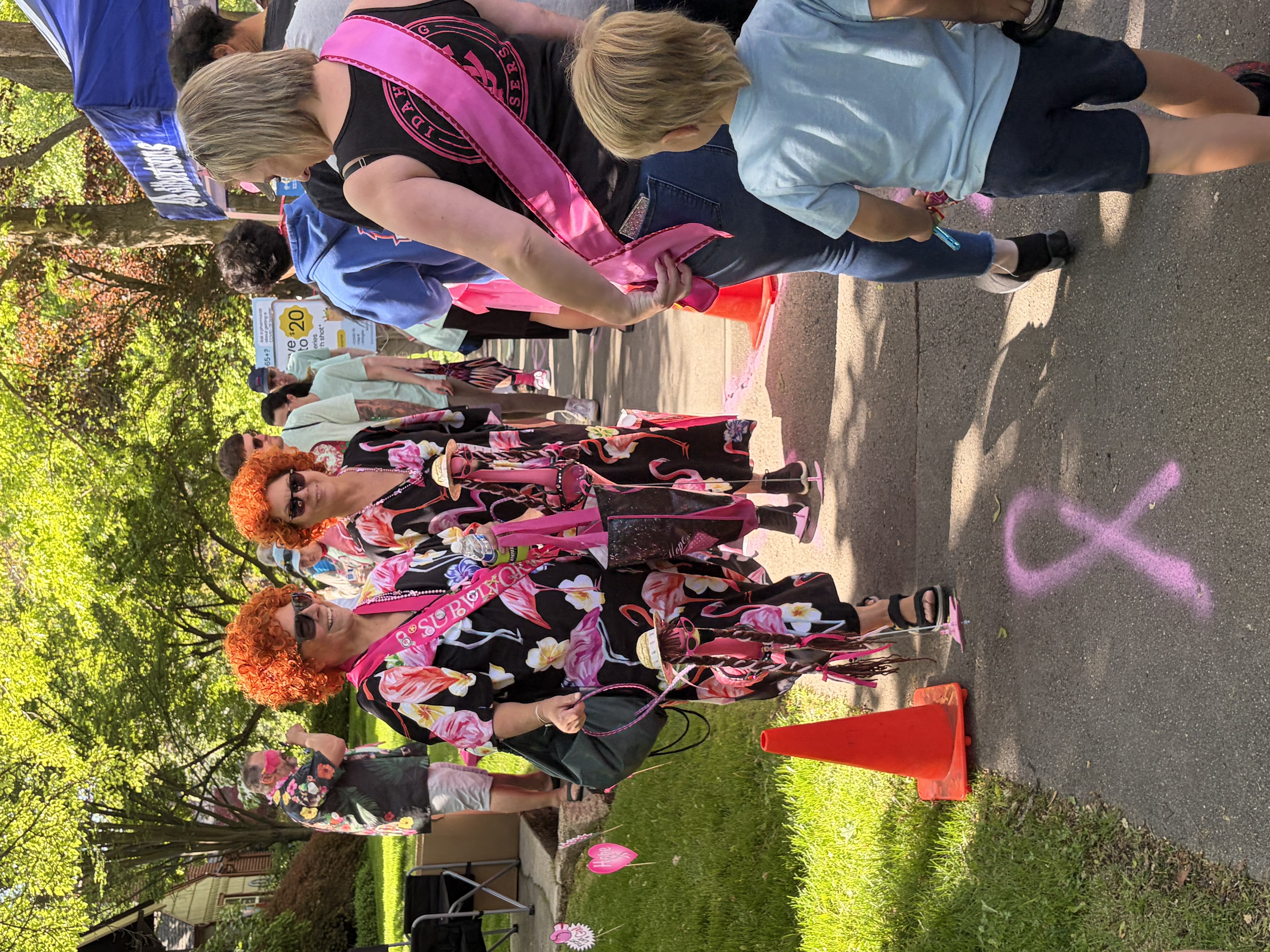 Flamingo flock taking the stroll