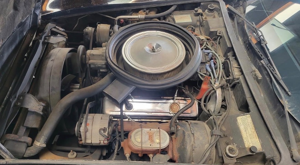 1975 Chevrolet Corvette view 7
