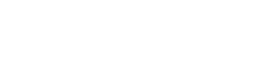 SalesIndex Certified Partner