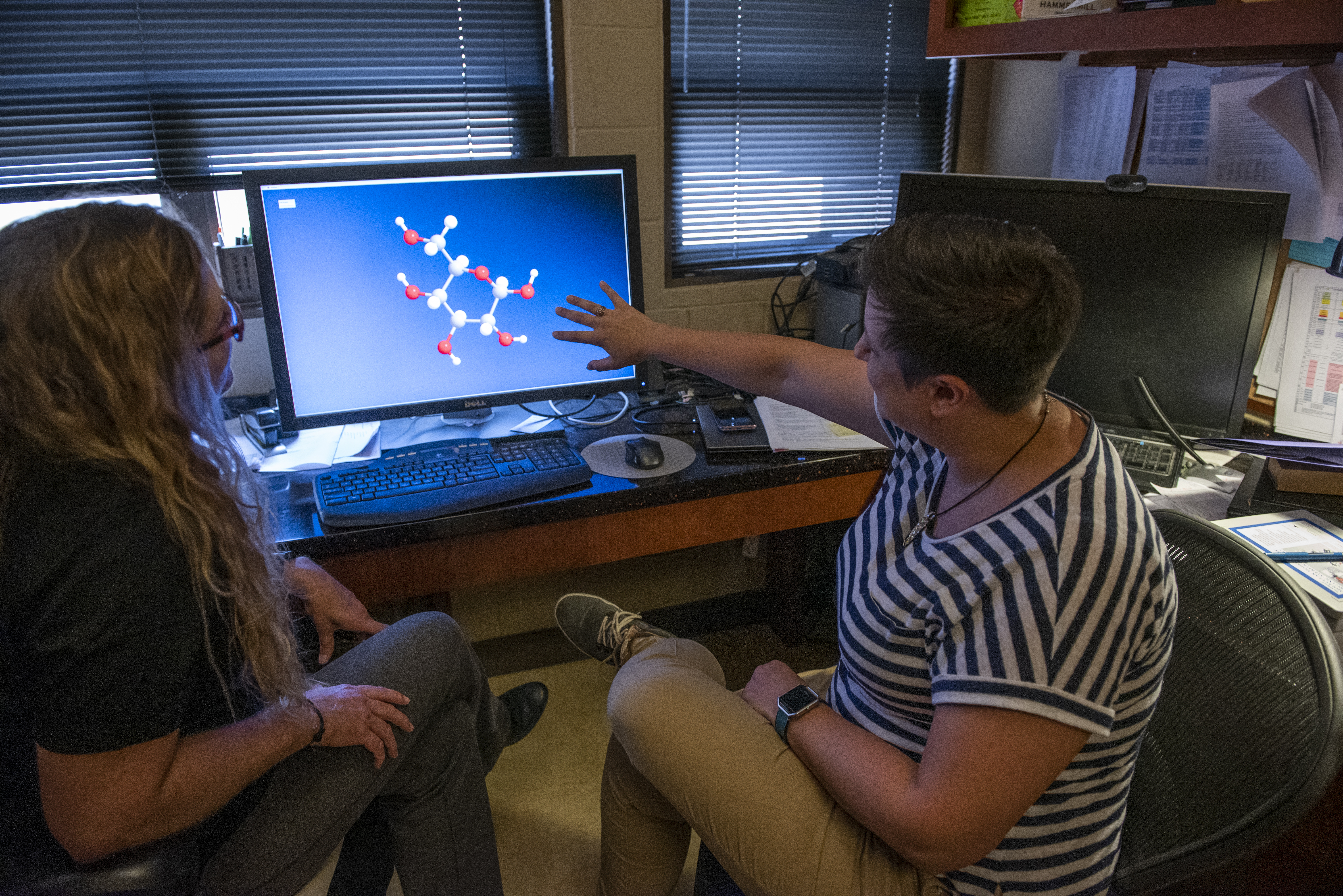 Reviewing the molecular structure