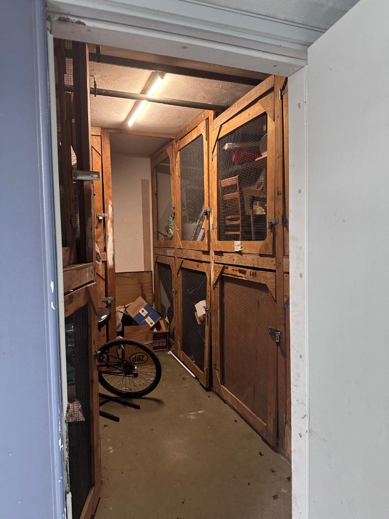 Storage Room Clean-Out — Before & After photo 1