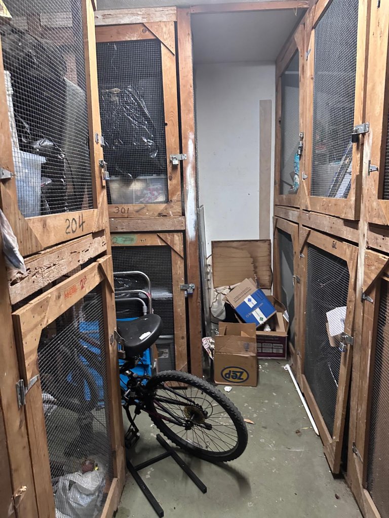 Storage Room Clean-Out — Before & After photo 2
