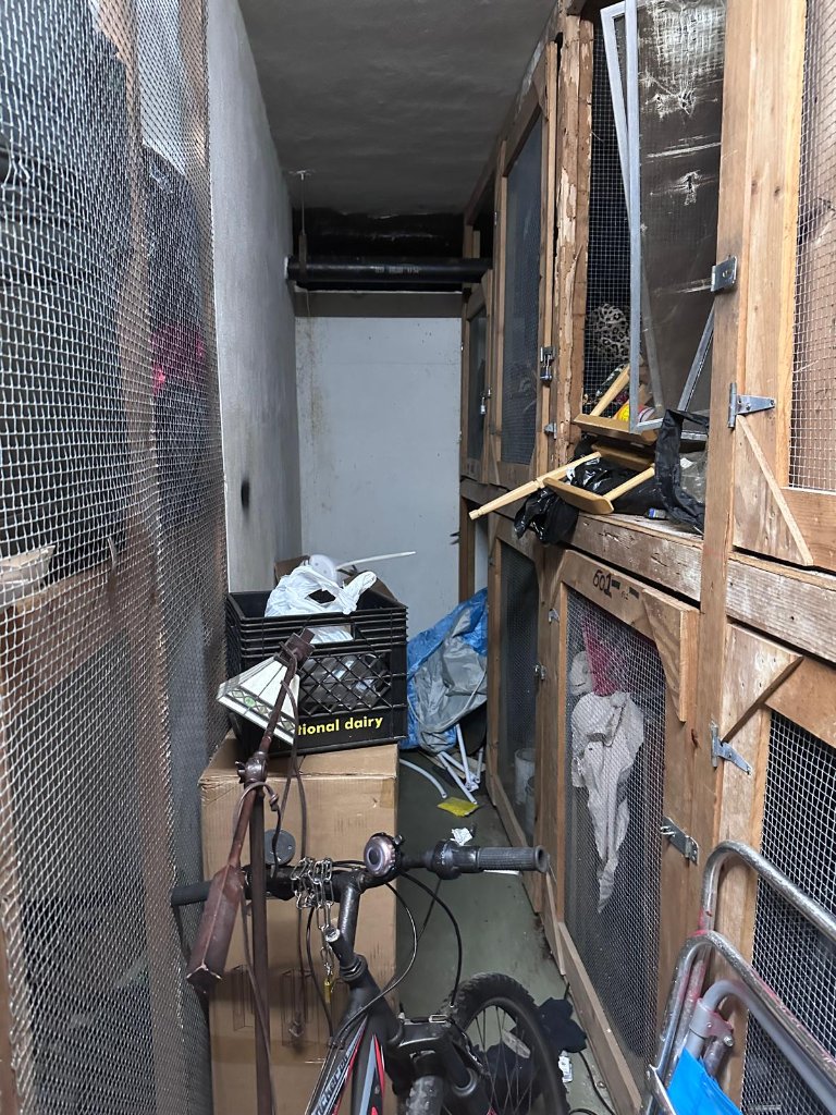 Storage Room Clean-Out — Before & After photo 5