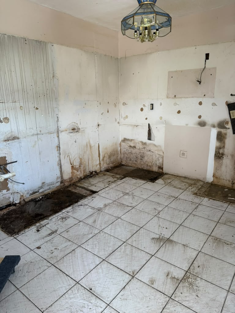 Residential Demolition — Kitchen, Fence & Shed Before & After photo 6