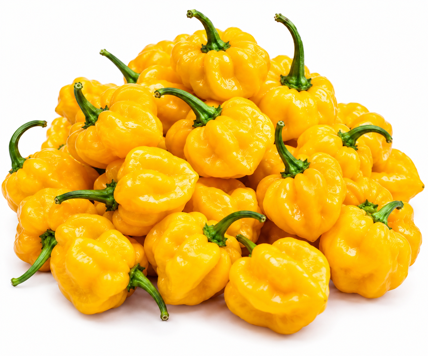 Yellow Scotch Bonnet Peppers