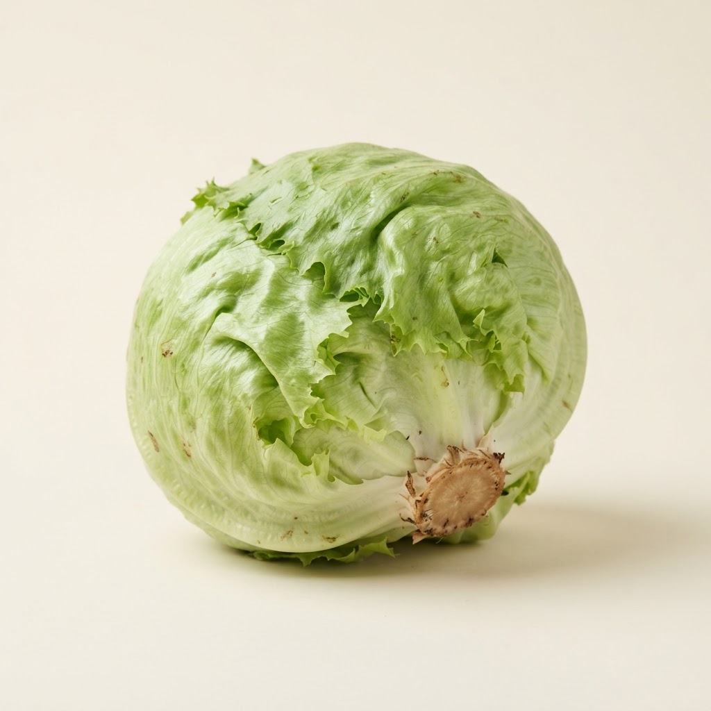 Fresh Lettuce