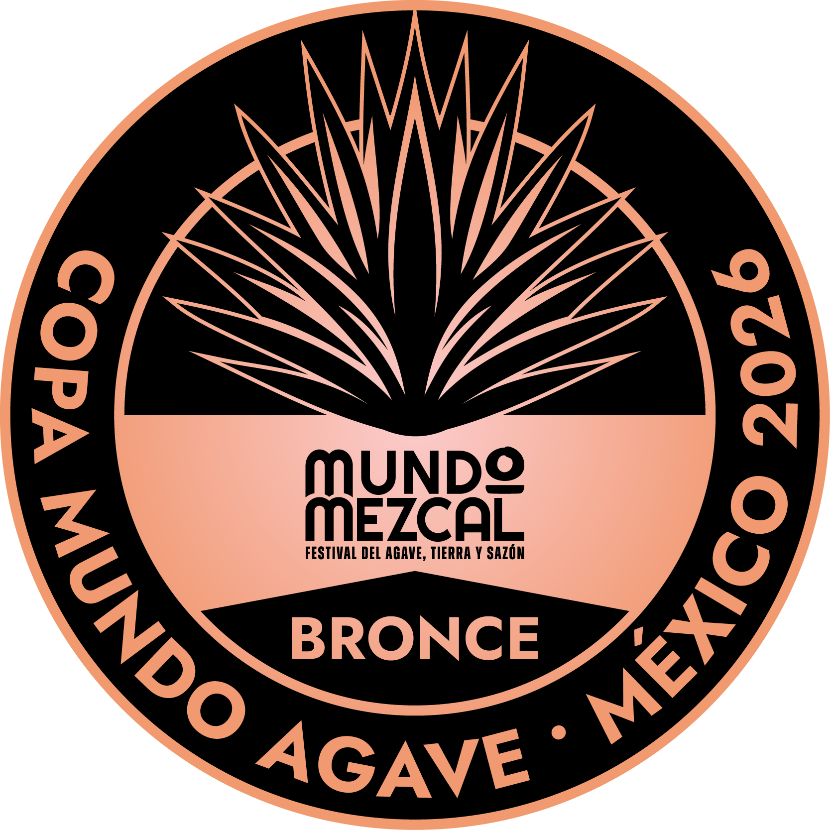 Medalla Bronce