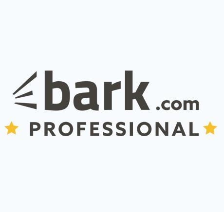 Bark vs Direct Web Design Agency: What's Better?