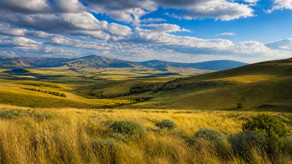 Montana rolling hills and grasslands with mountains